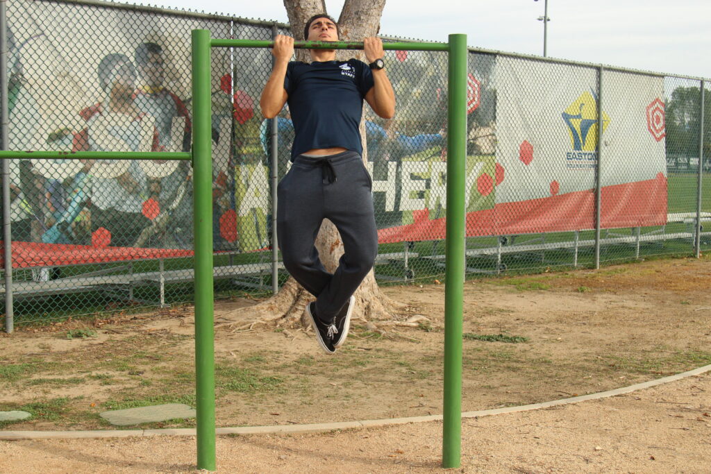 Reverse Grip Pullups